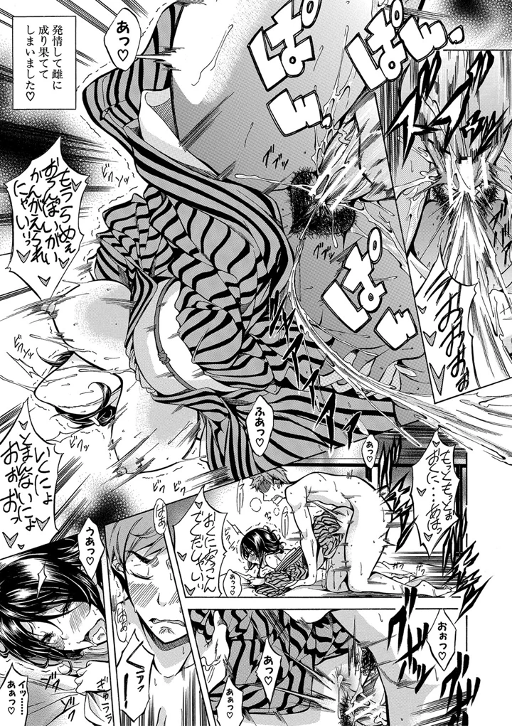 24ページ目