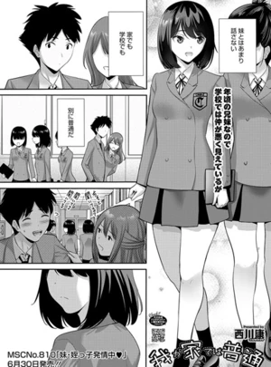 我が家では普通 – 西川康