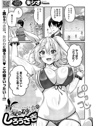 真夏の砂浜のしろうさぎ – 朱シオ
