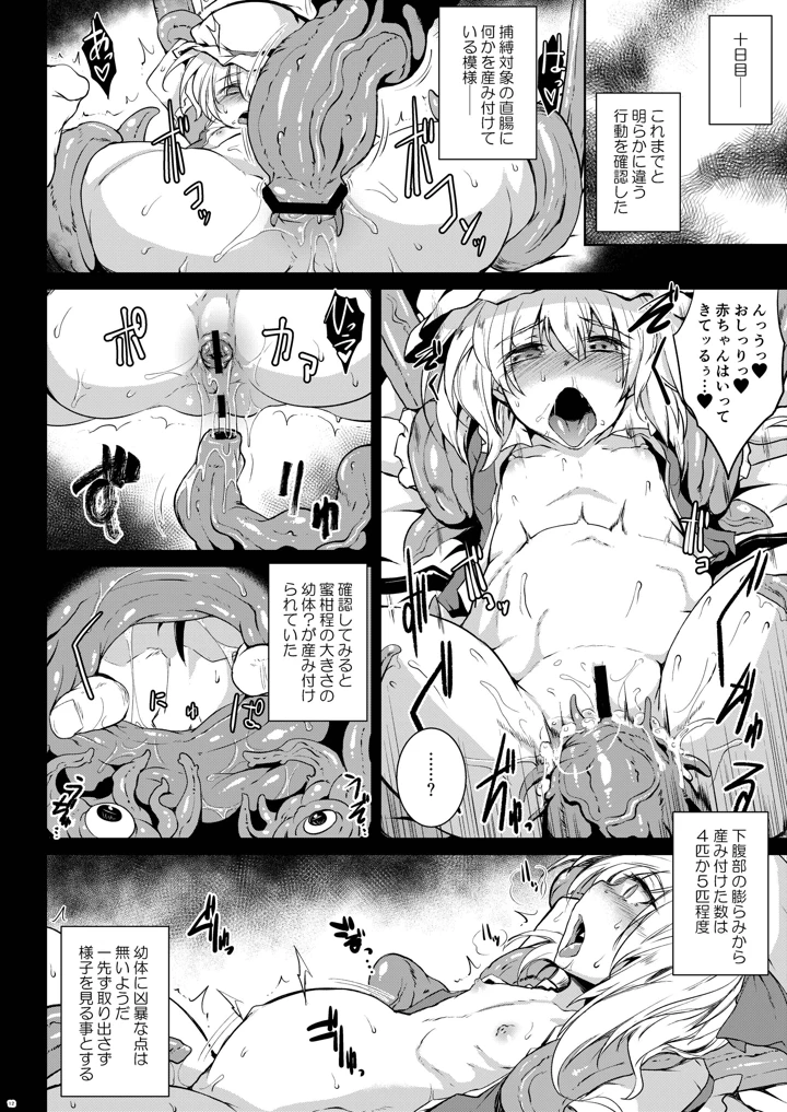 幻想艶交-RandF-(MegaSoundOrchestra) 11ページ