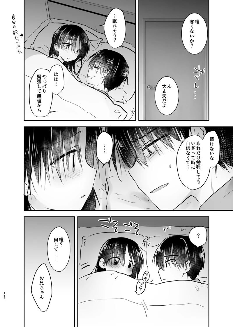 マンガ113ページ目