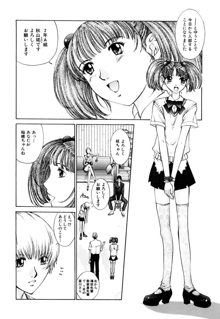 5ページ目