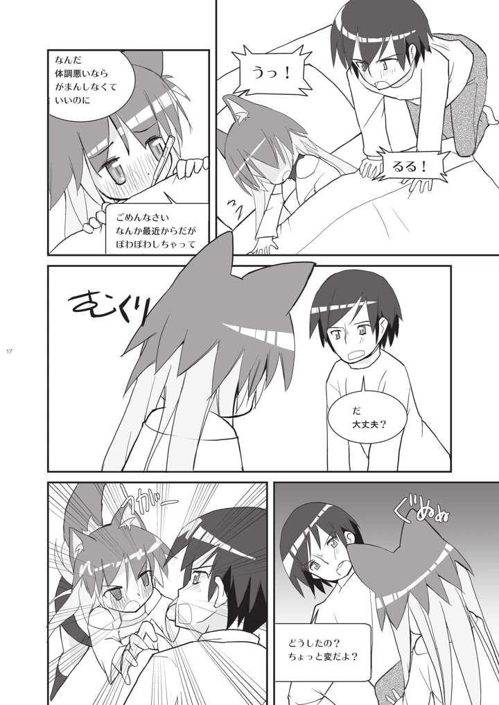 17ページ目