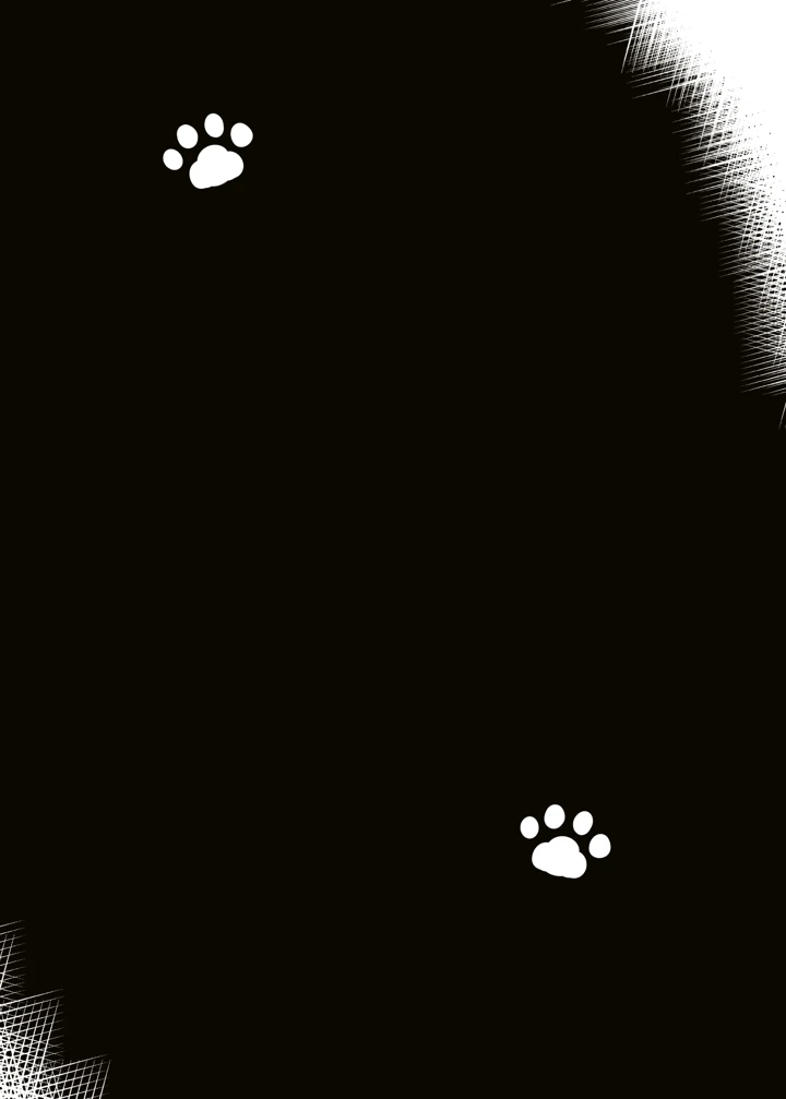 3ページ目