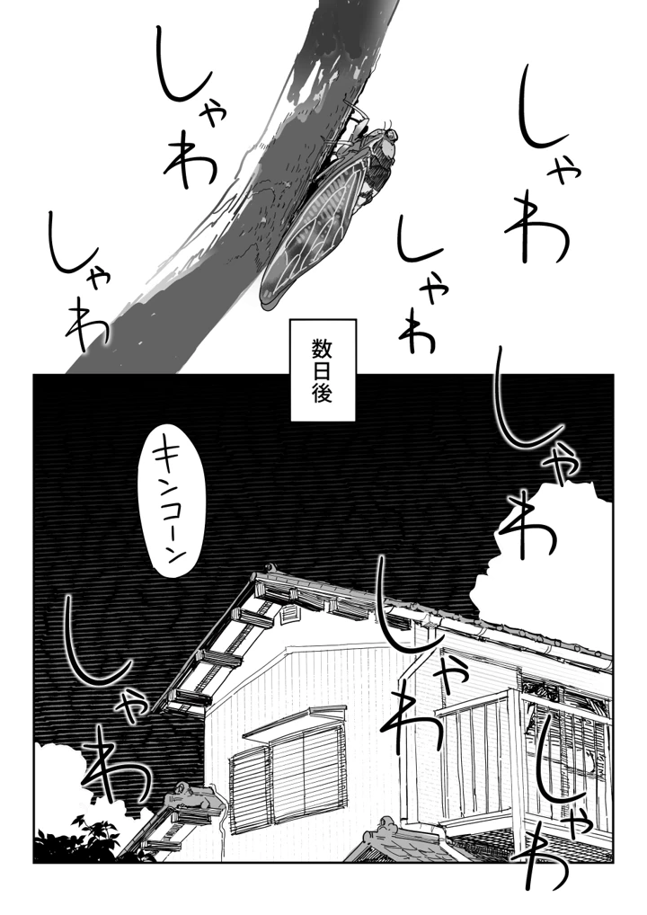 14ページ目