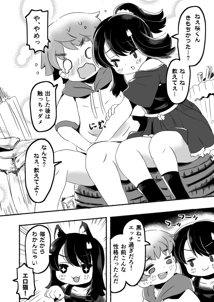 12ページ目