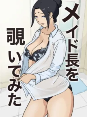 メイド長を覗いてみた(なすびニンジャ)