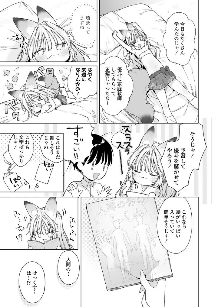 11ページ目