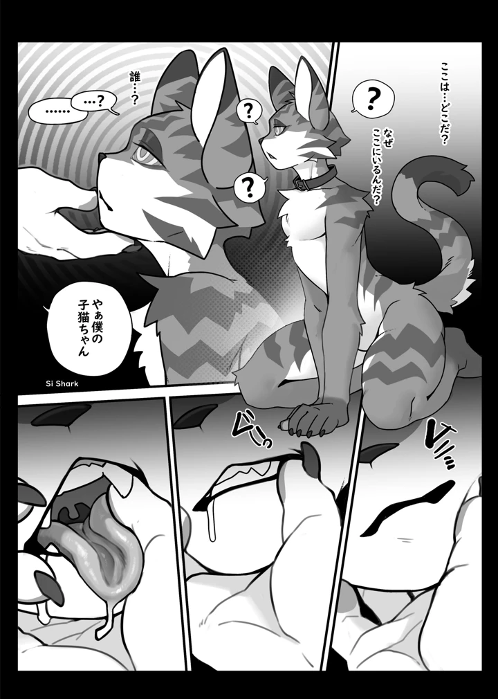 21ページ目
