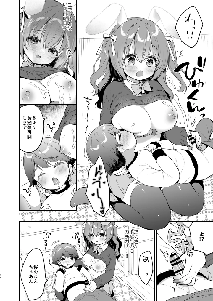 (Usacastle)やさしくてふかふかな桜ちゃんの話2-マンガ14