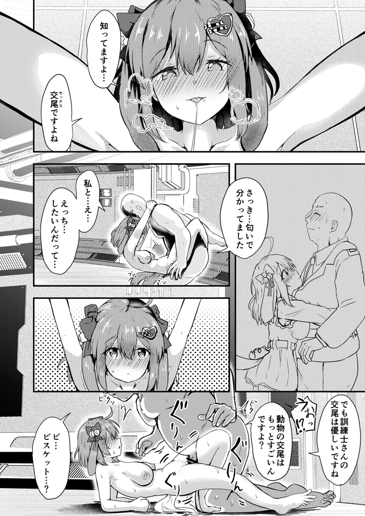 11ページ目