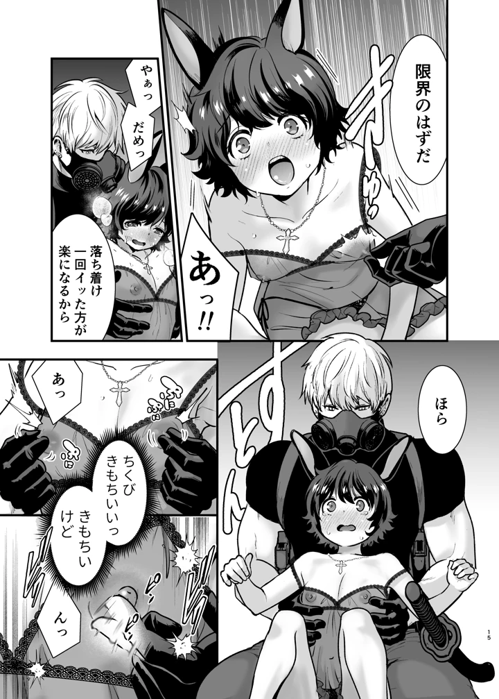15ページ目