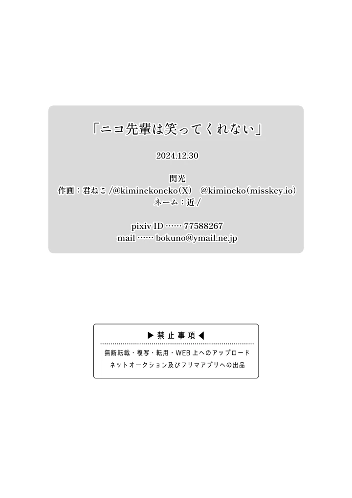 13ページ目
