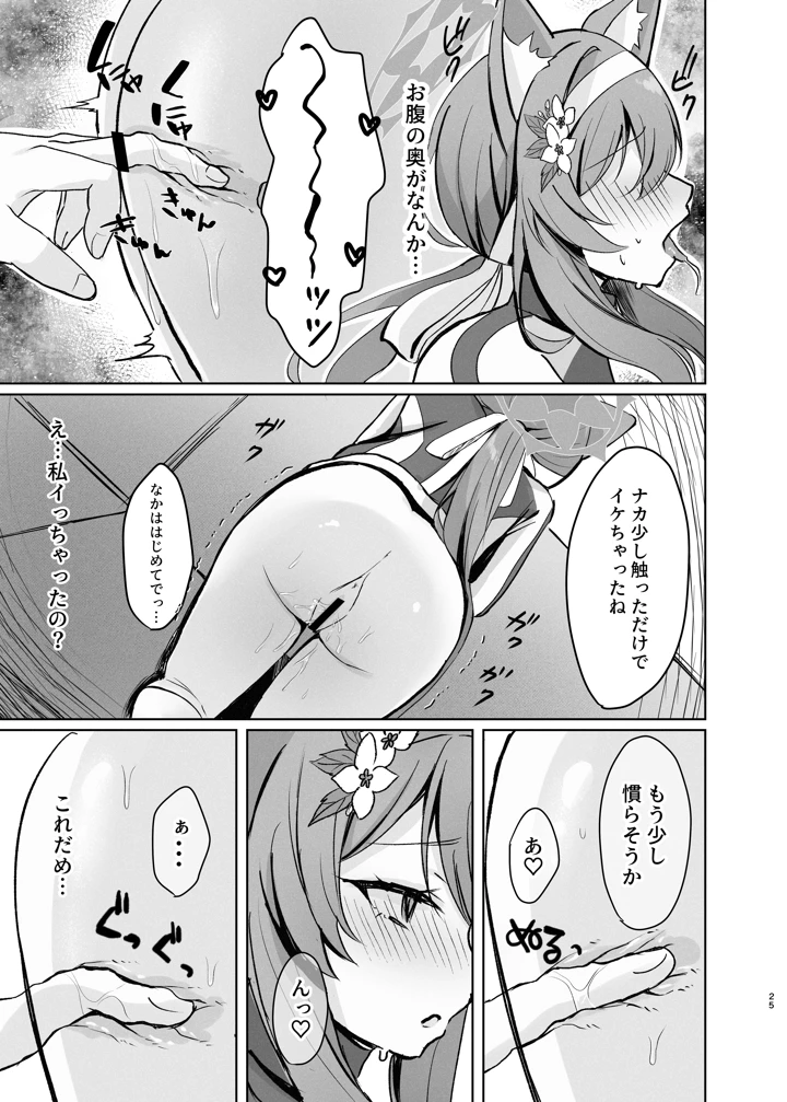 25ページ目