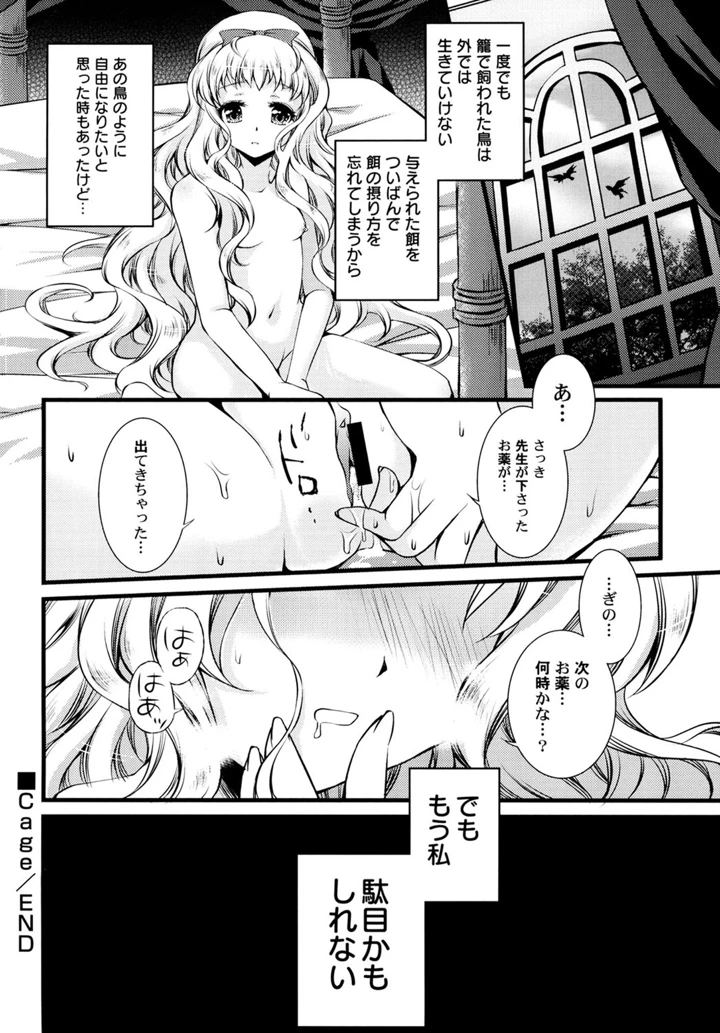 24ページ目
