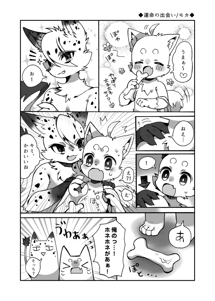 25ページ目