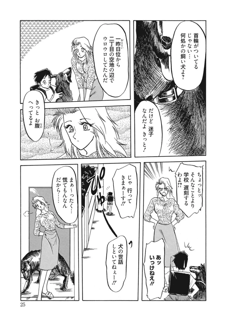 25ページ目