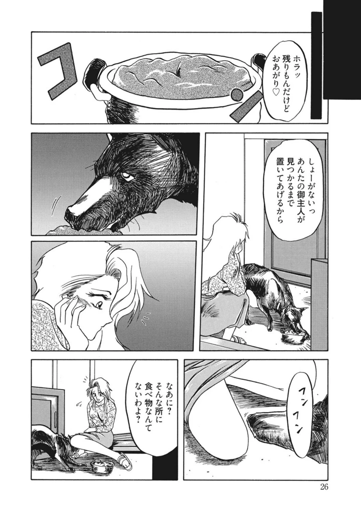 26ページ目