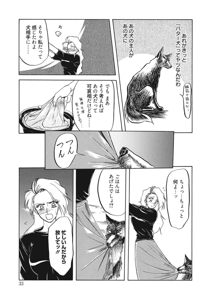 33ページ目