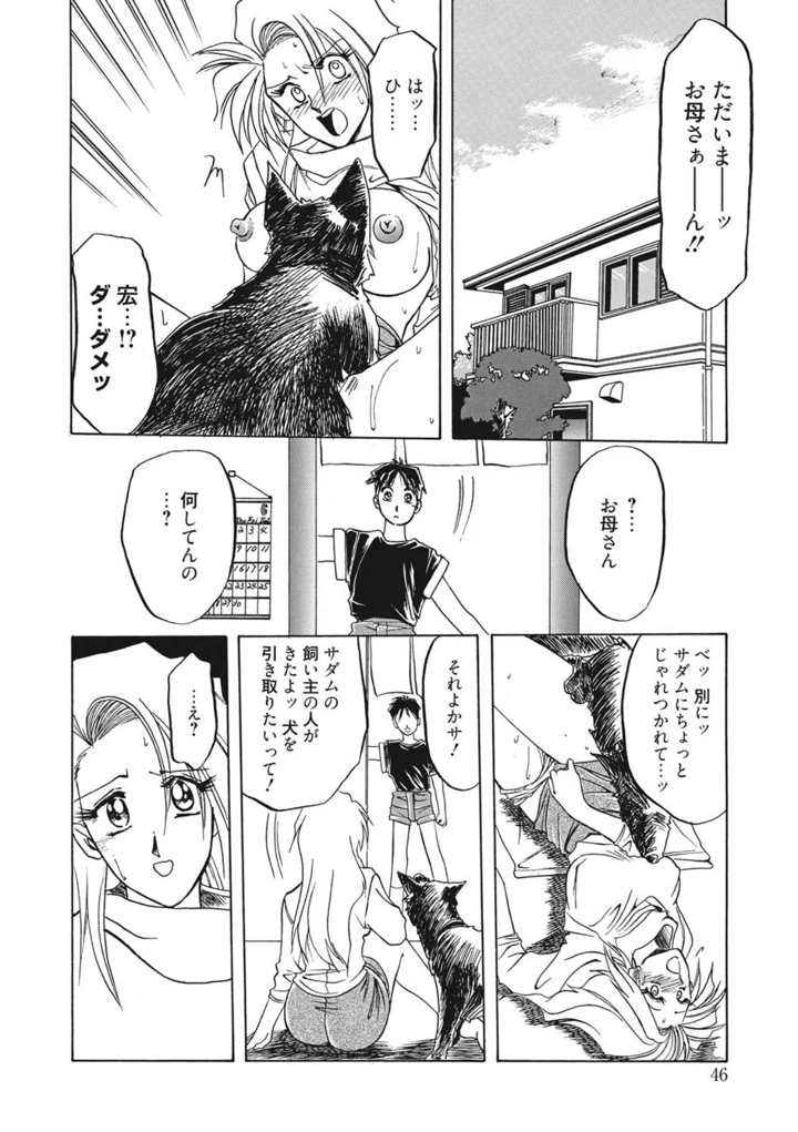 46ページ目