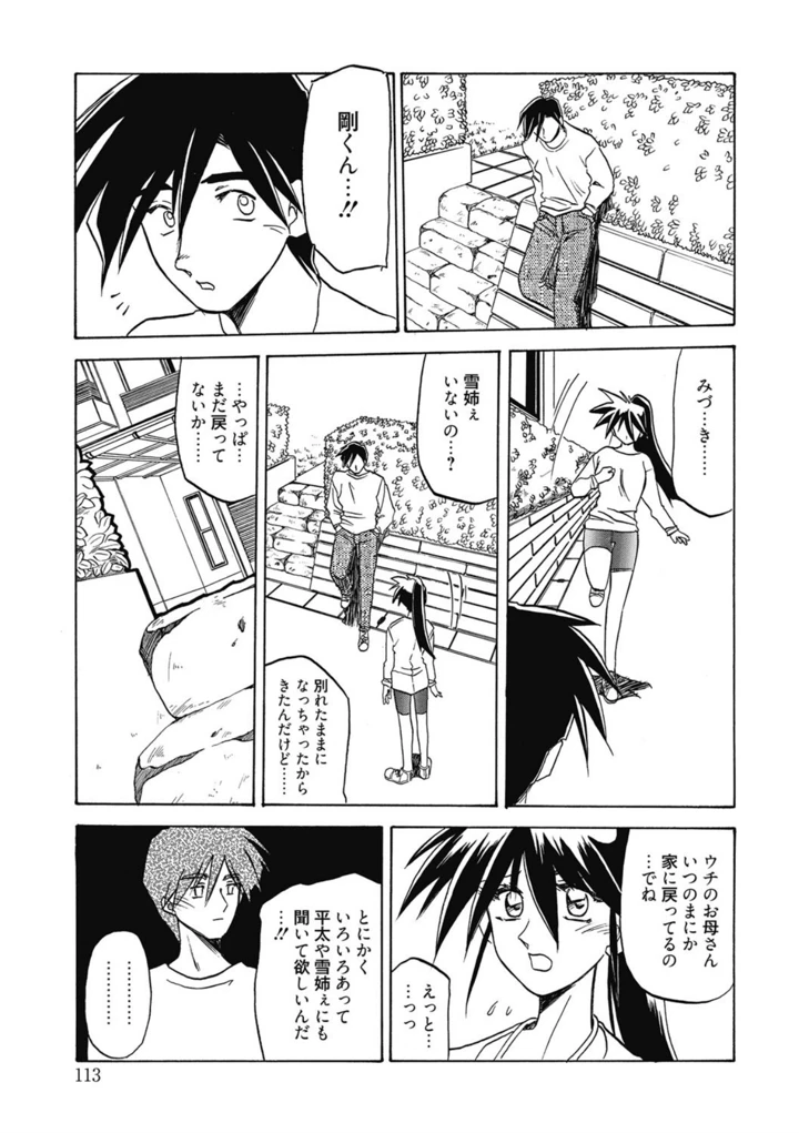 113ページ目