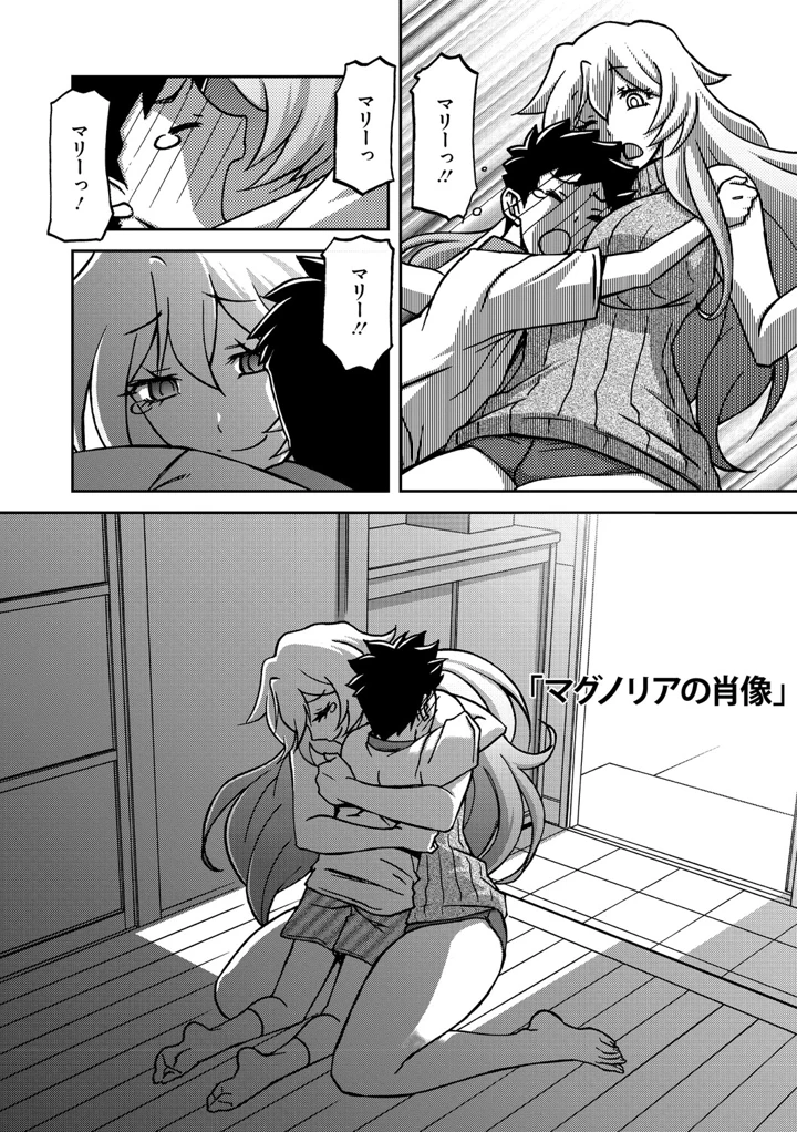 263ページ目