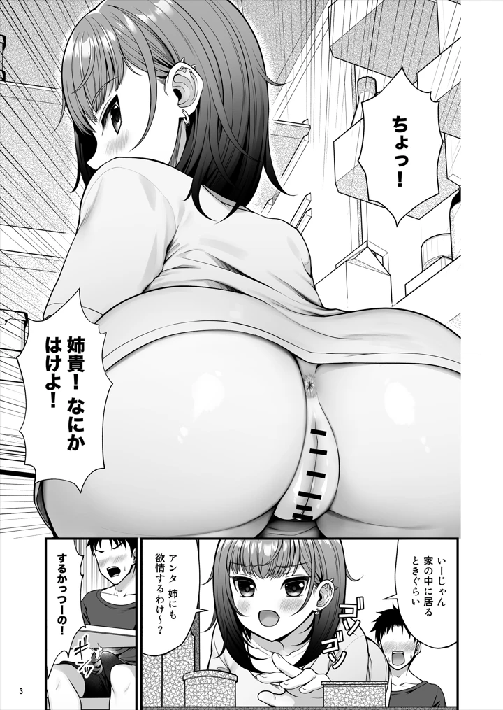 怪しいドリンクを飲んで発情した姉が淫乱すぎる(Maritozzo) 4ページ