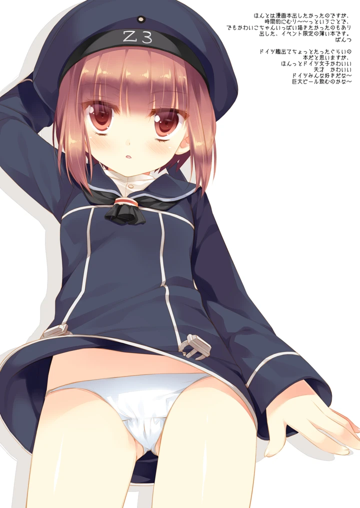 738ページ目