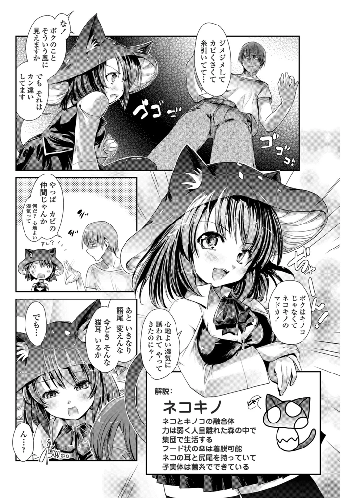 156ページ目
