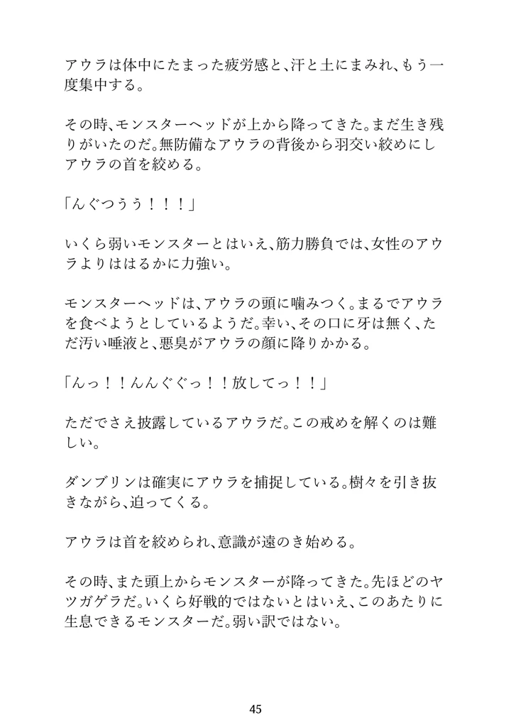45ページ目