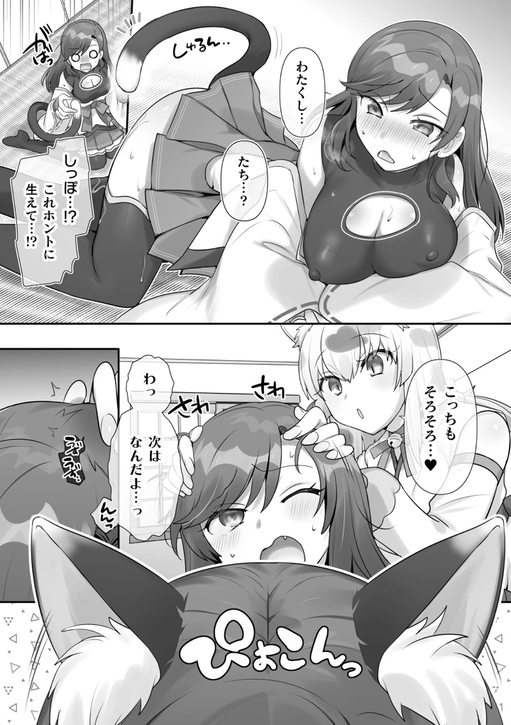 13ページ目