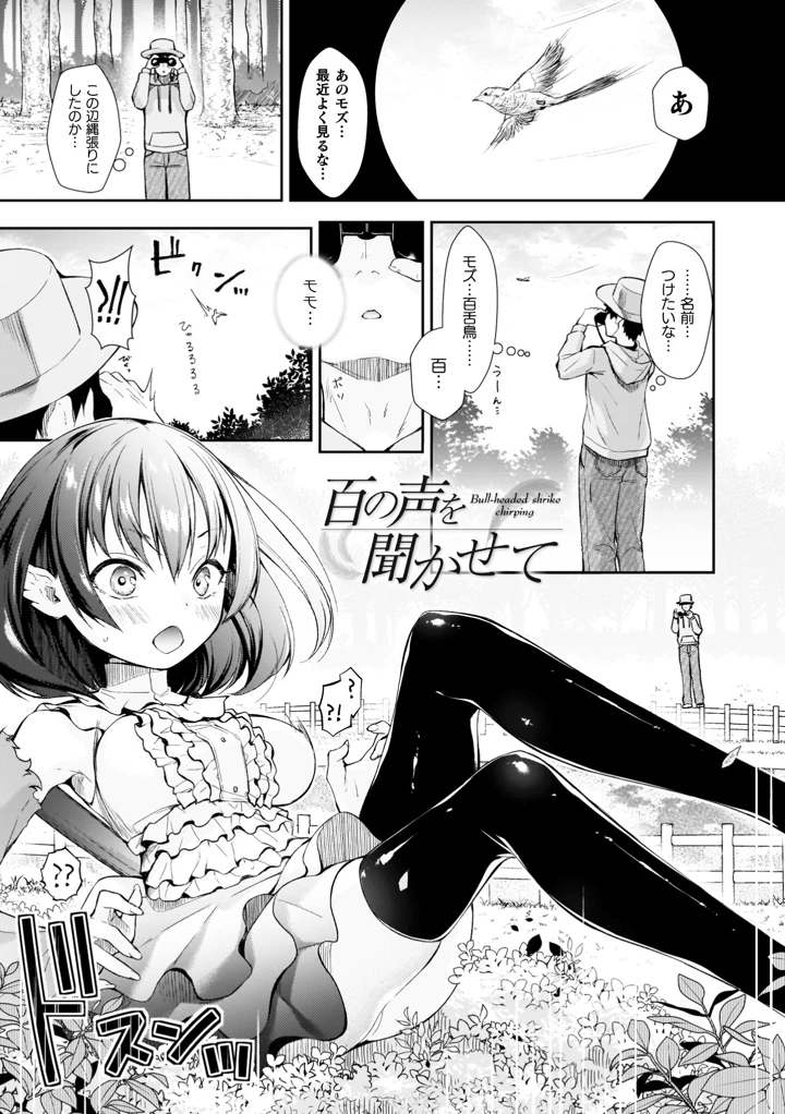 157ページ目