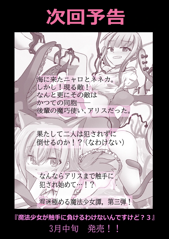 13ページ目