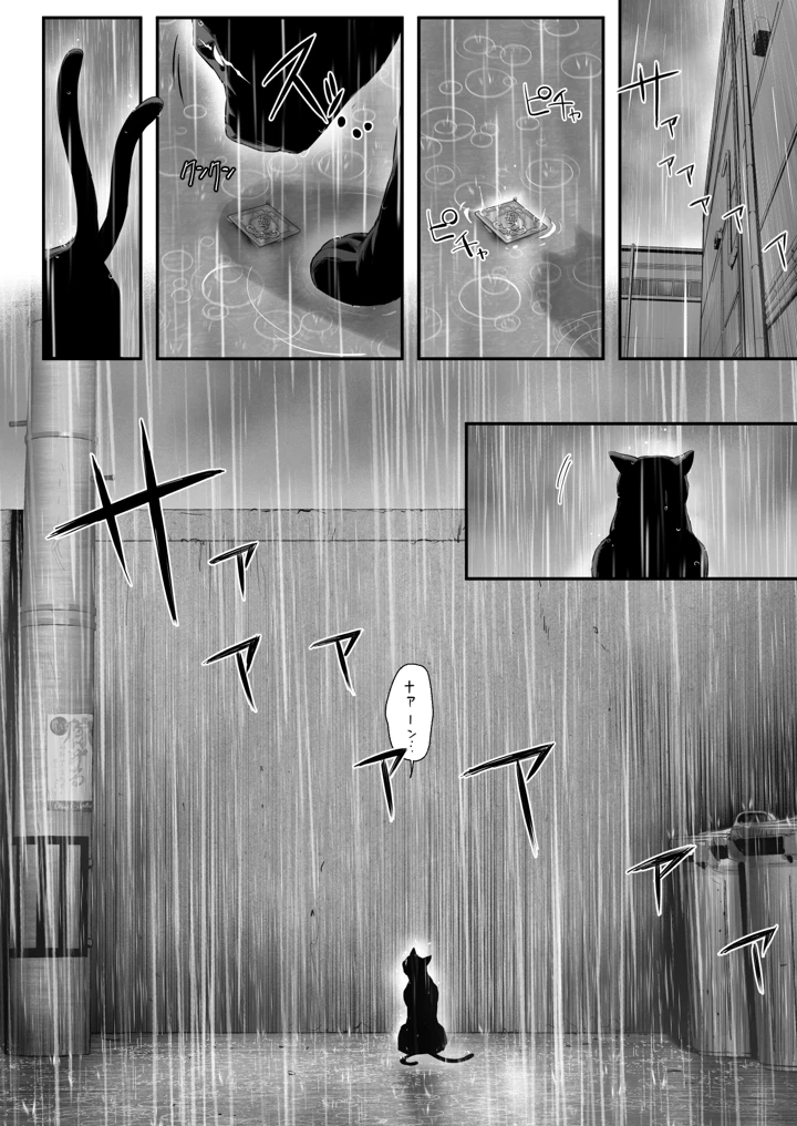 15ページ目