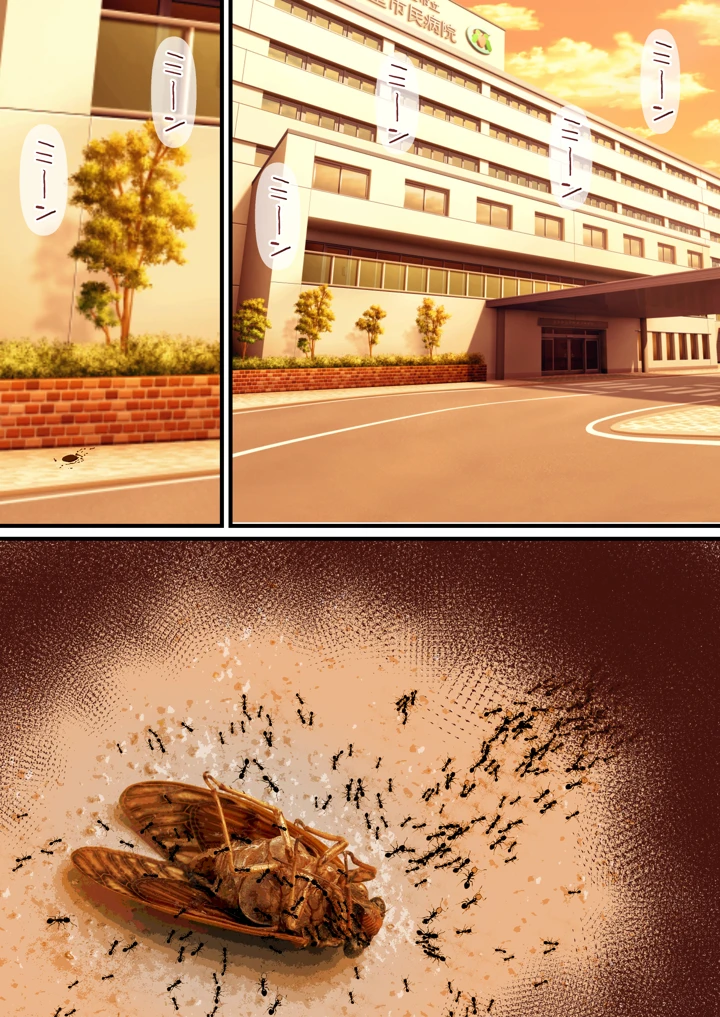 61ページ目