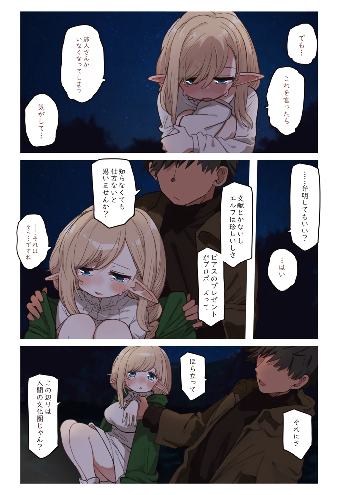 11ページ目