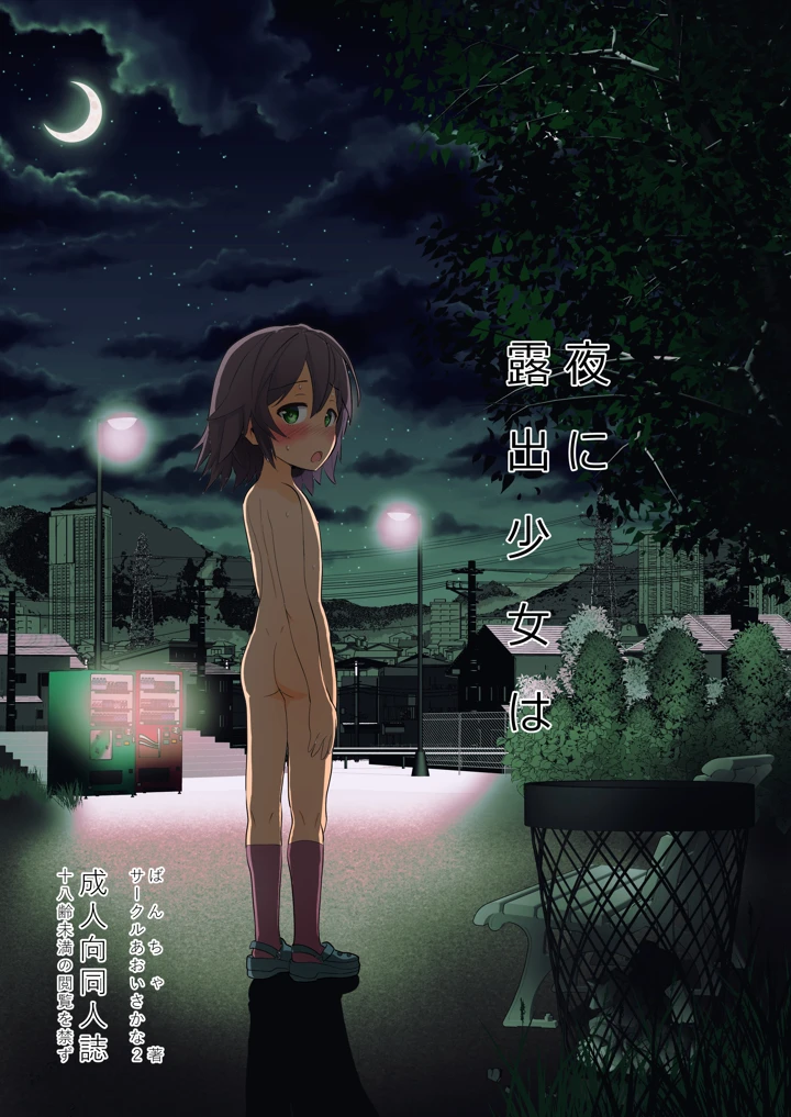 夜に露出少女は(あおいさかな2) 1ページ
