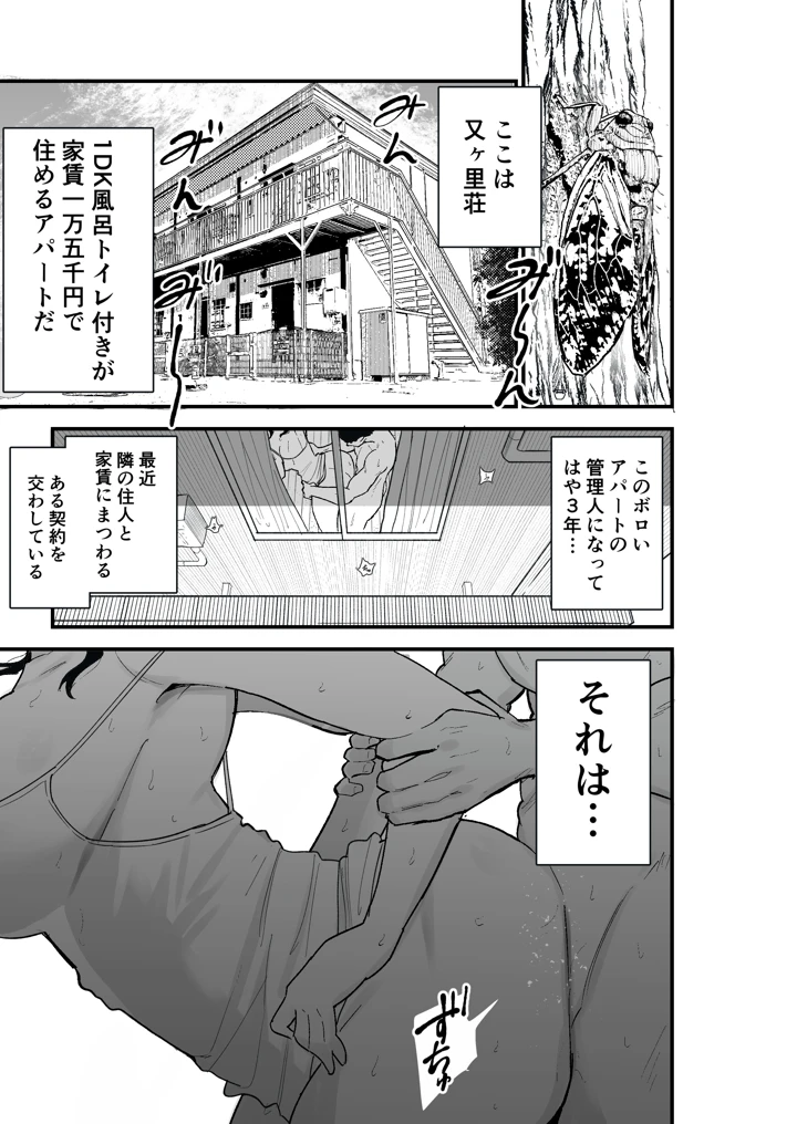 3ページ目