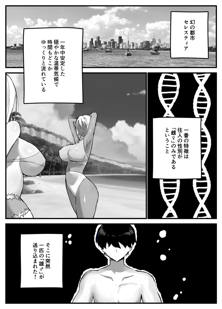 3ページ目