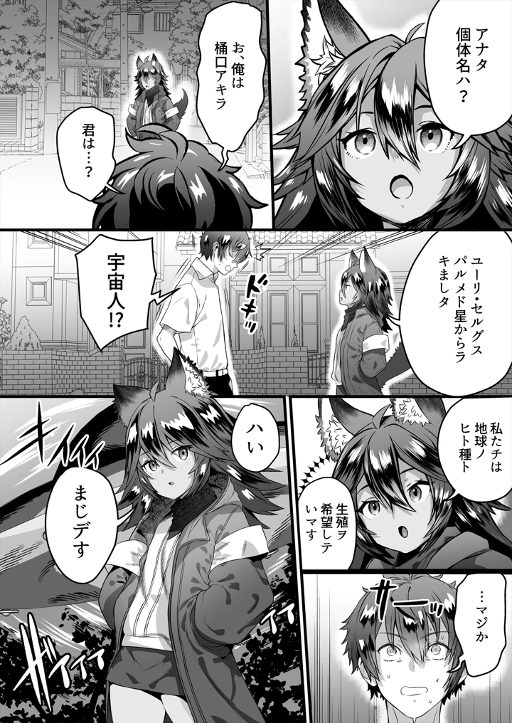 4ページ目