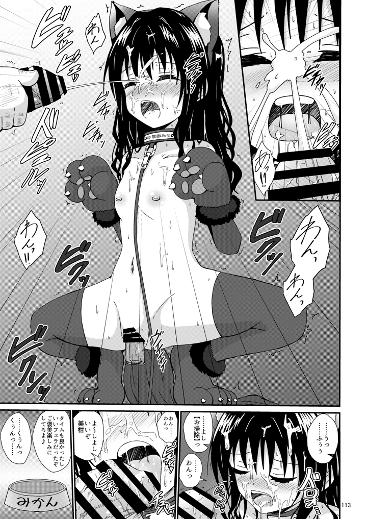 112ページ目