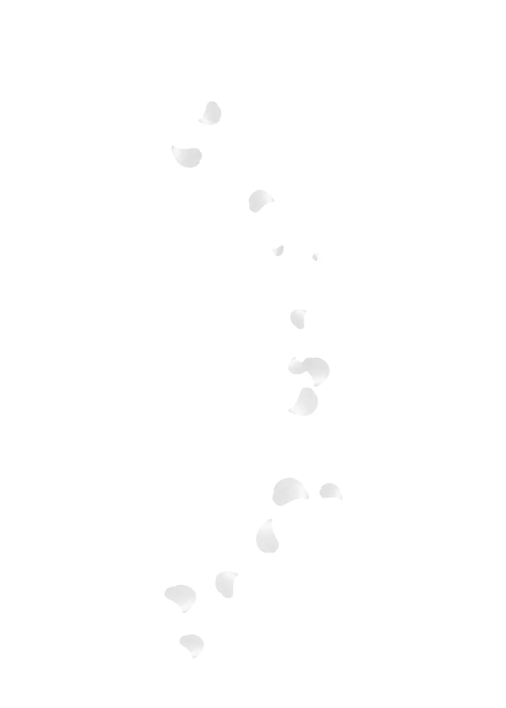 17ページ目
