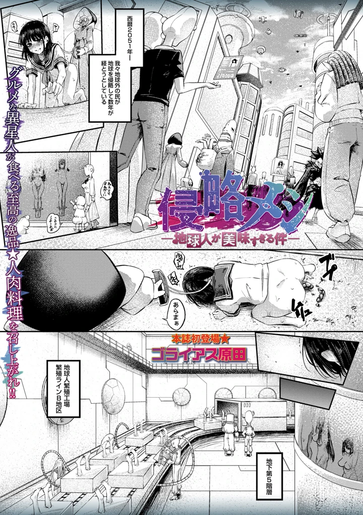 7ページ目