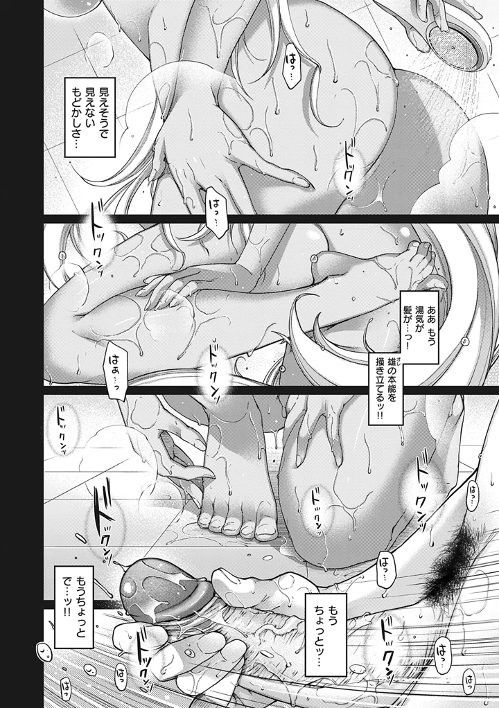 11ページ目