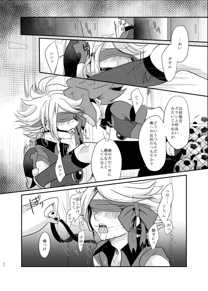 21ページ目