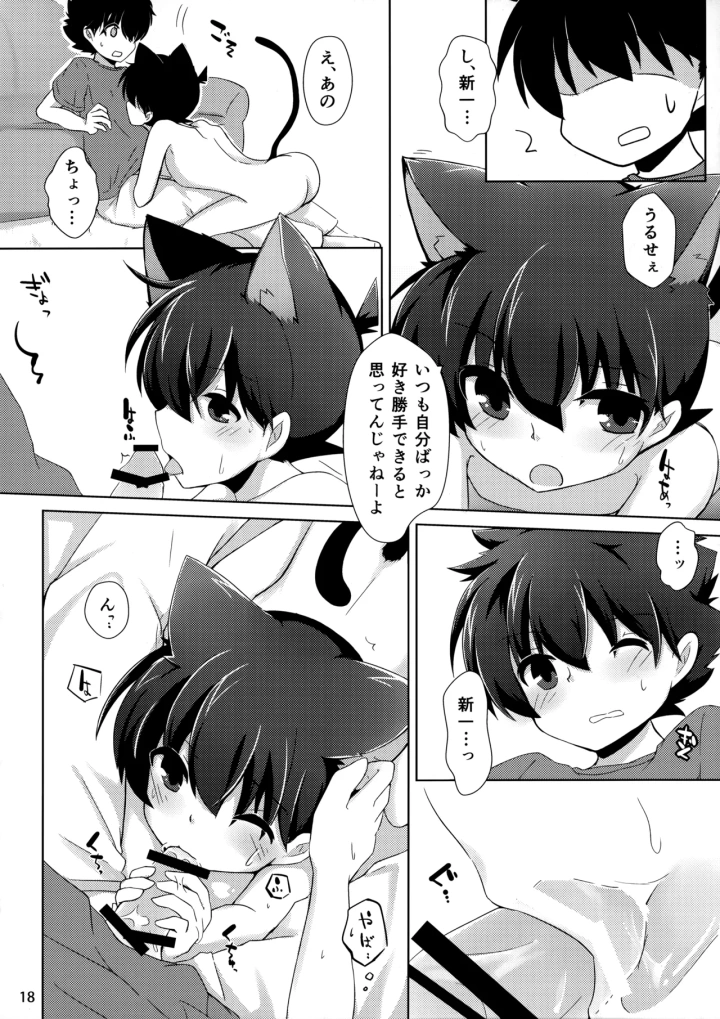 (tangerine (みかん) )cat fancier-マンガ17