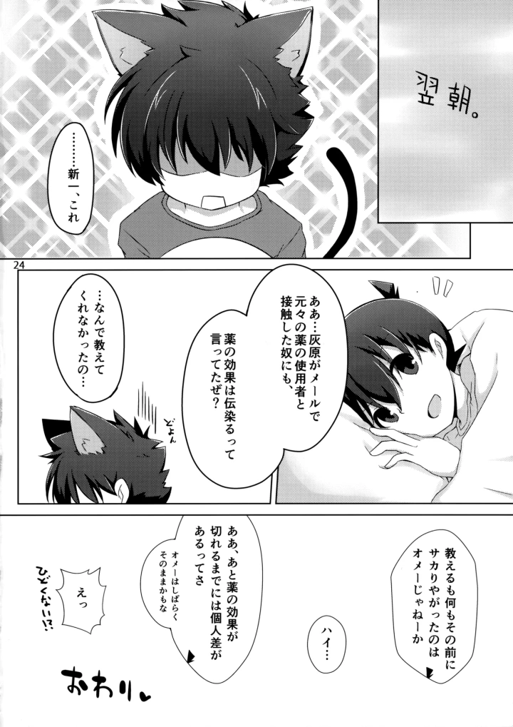 マンガ23ページ目