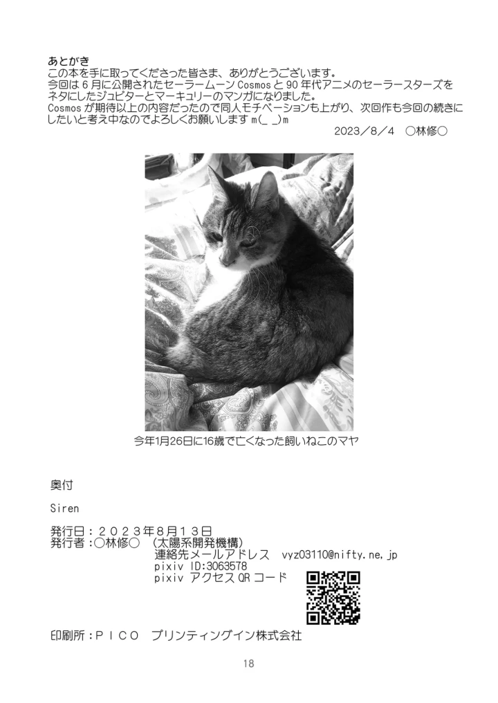 17ページ目