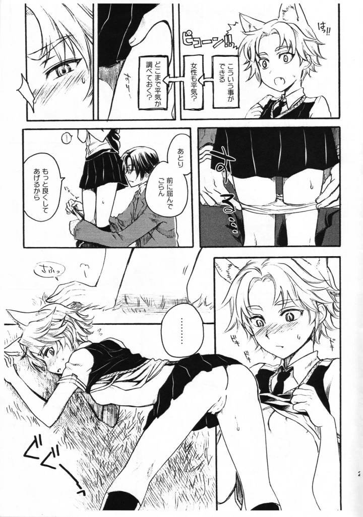 20ページ目