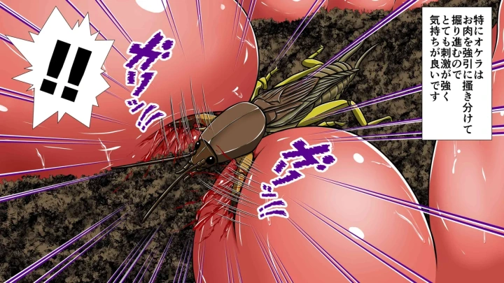 8ページ目